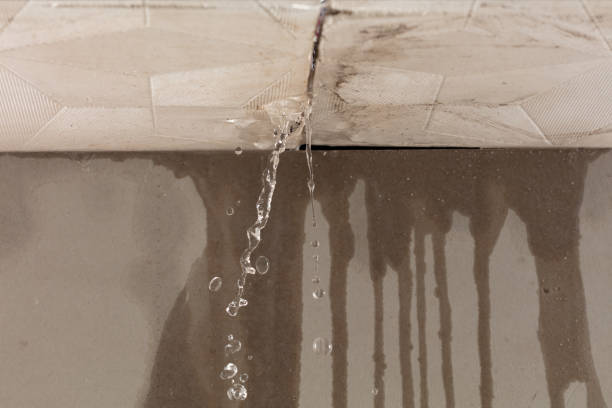 Professional Water Damage Restoration technician working in Belle Mead, NJ